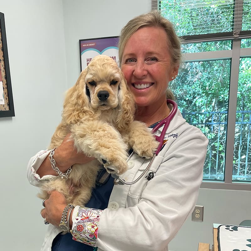 Dr. Dianna Joseph, Alpharetta Veterinarian